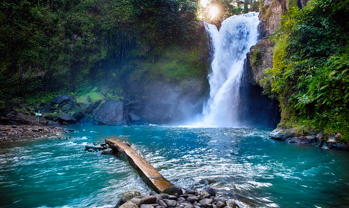 Bali Waterfall & Jungle Expedition